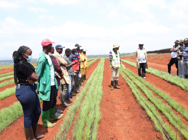 Plum Agri Irrigation - Agriculture & Irrigation 7 Plum Agri Irrigation - Agriculture & Irrigation 7