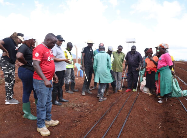 Plum Agri Irrigation - Farmer training 2 Plum Agri Irrigation - Farmer training 2