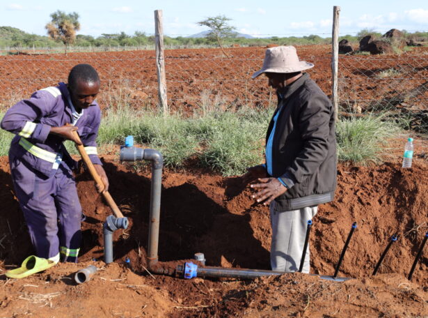 Plum Agri Irrigation - Irrigation system 15 Plum Agri Irrigation - Irrigation system 15