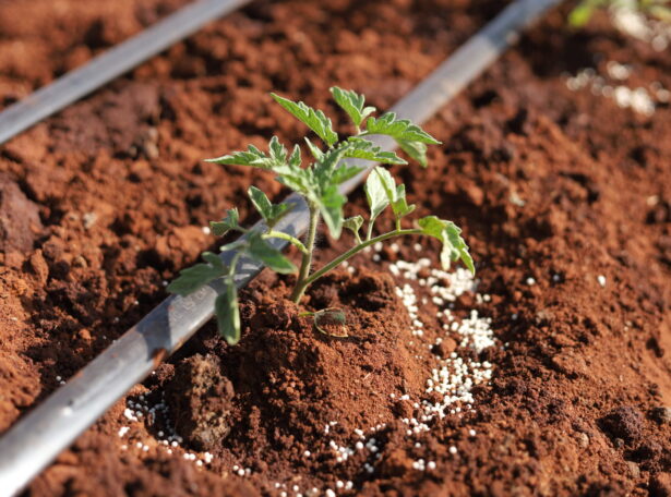Plum Agri Irrigation - Onio Plum Agri Irrigation - Onio