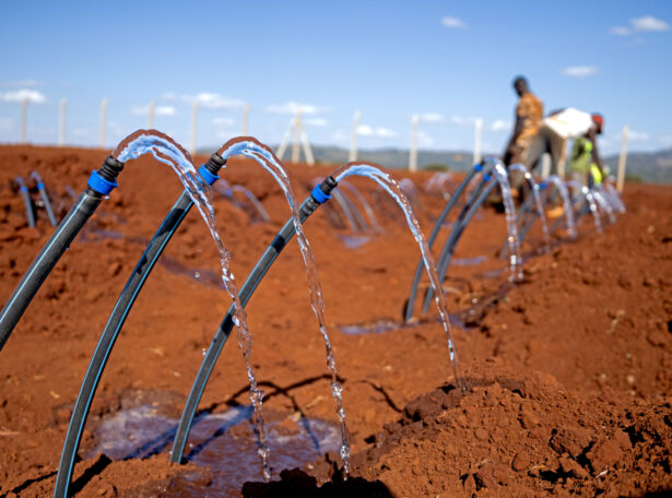 Plum Agri Irrigation - Rama Farm 12 - Plum Agri Irrigation Plum Agri Irrigation - Rama Farm 12 - Plum Agri Irrigation