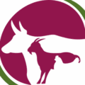Plum Agrovet Favicon Plum Agrovet Favicon